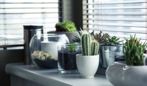 Green living – Qualität, die sich sehen lassen kann